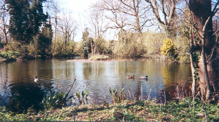 Tormarton Village Pond Image